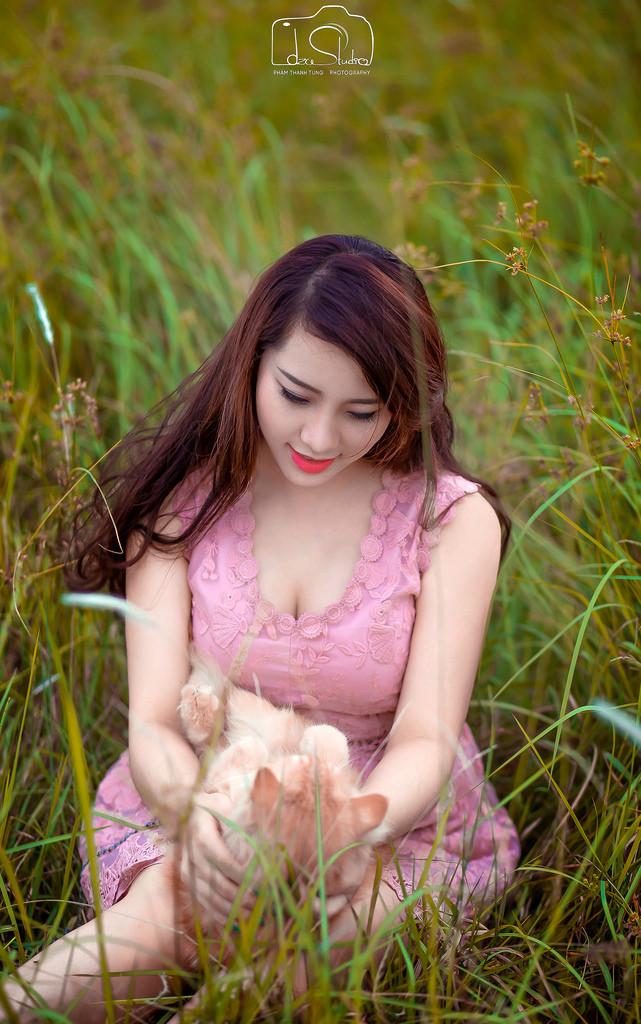 野花4
